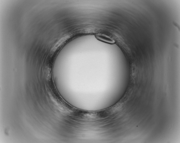 X0000099550164200805301528