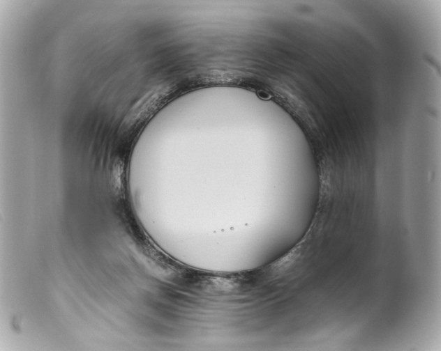 X0000099550166200805301528