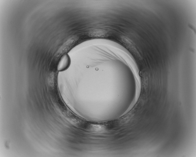 X0000099550167200805301528