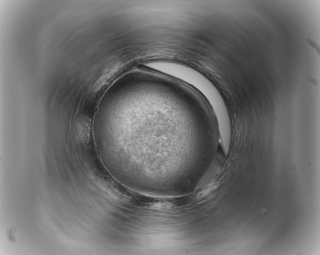 X0000099550168200805301528