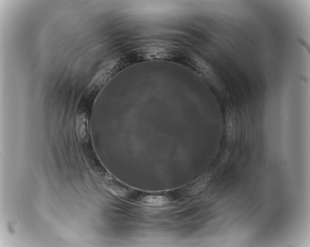 X0000099550169200805301528