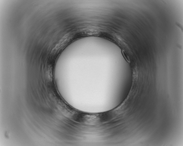 X0000099550170200805301528