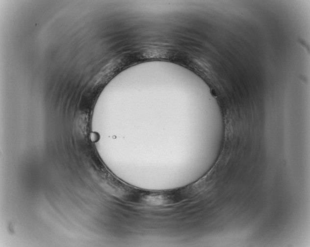 X0000099550171200805301528