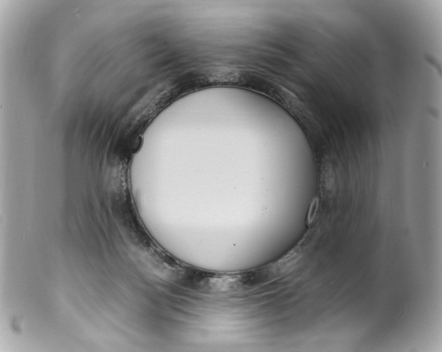 X0000099550172200805301528