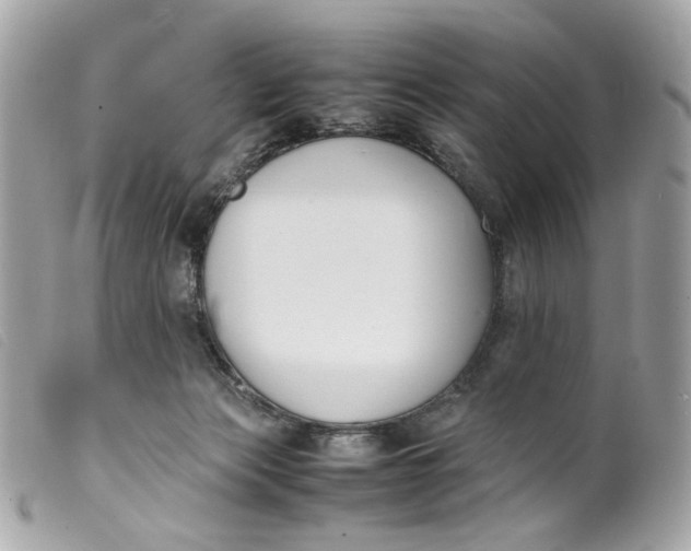 X0000099550173200805301528