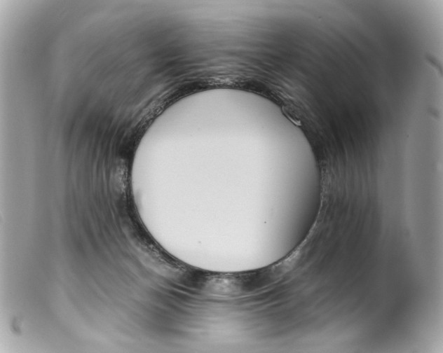 X0000099550174200805301528