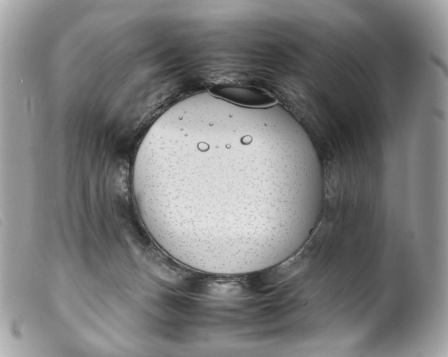 X0000099550175200805301528