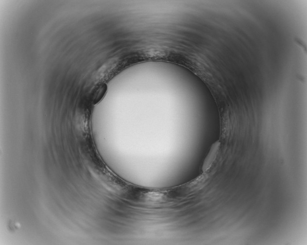 X0000099550176200805301528