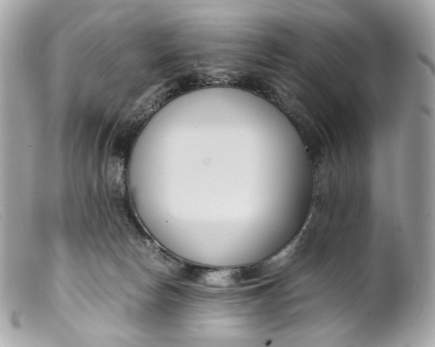 X0000099550178200805301528