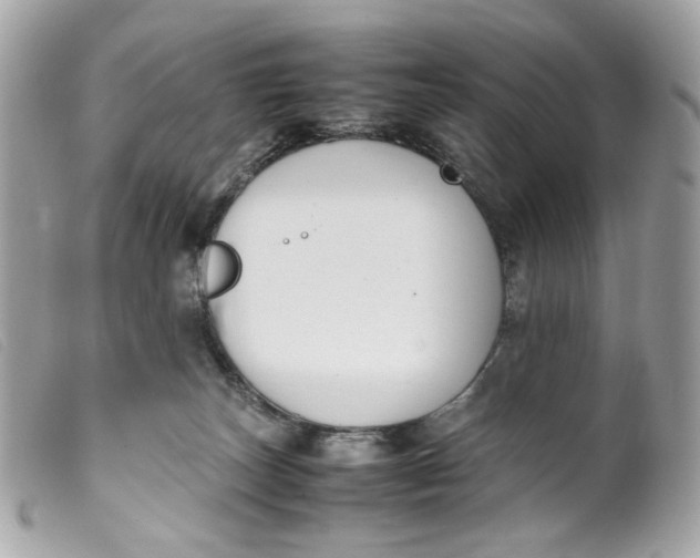 X0000099550179200805301528