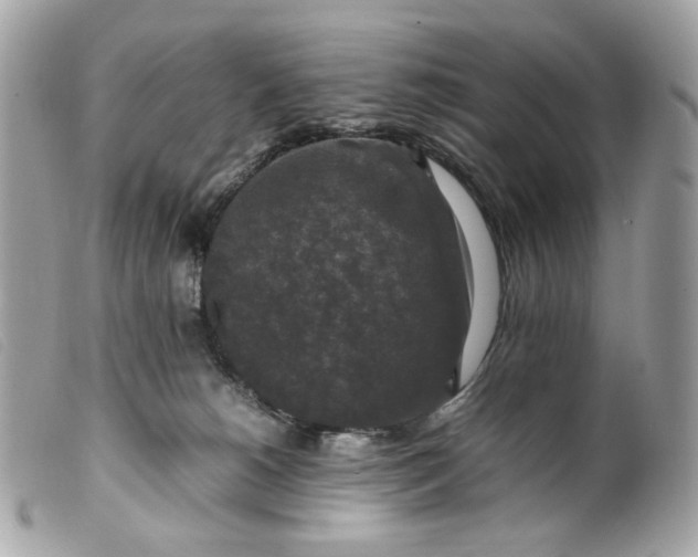 X0000099550180200805301528