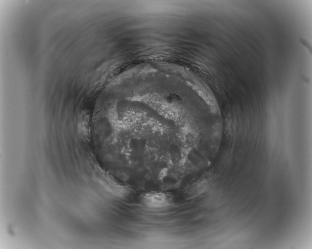 X0000099550181200805301528