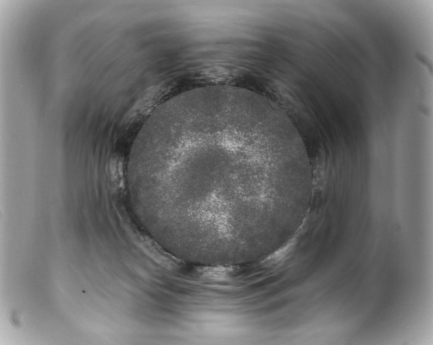 X0000099550182200805301528