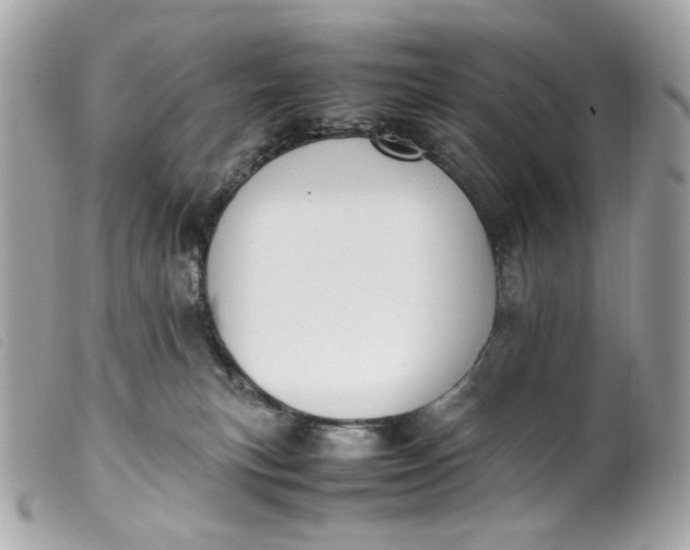 X0000099550183200805301528