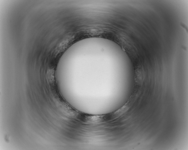 X0000099550184200805301528