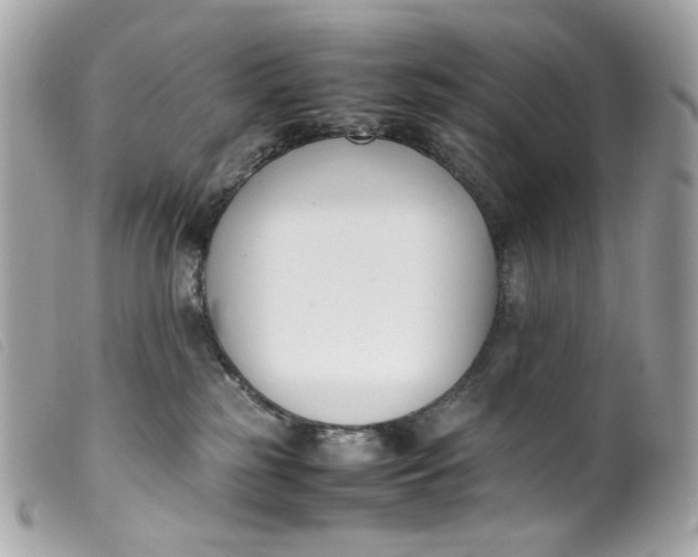 X0000099550185200805301528