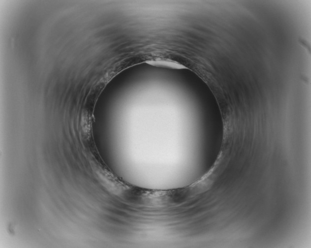 X0000099550186200805301528