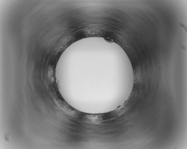 X0000099550187200805301528