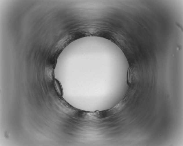 X0000099550188200805301528