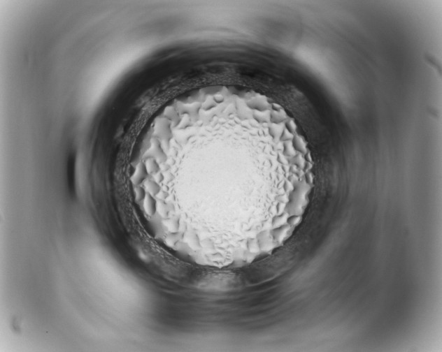 X0000099550189200805301528