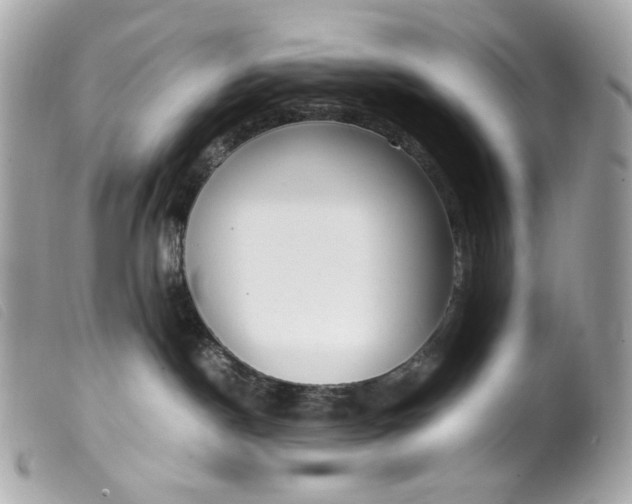 X0000099550190200805301528