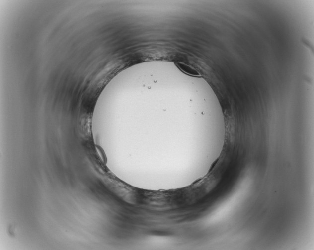 X0000099550191200805301528