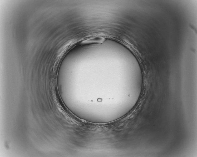 X0000099550193200805301527