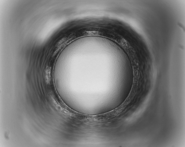 X0000099550194200805301527