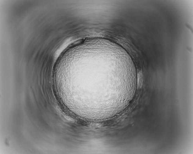 X0000099550195200805301527