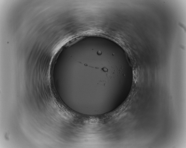 X0000099550196200805301527