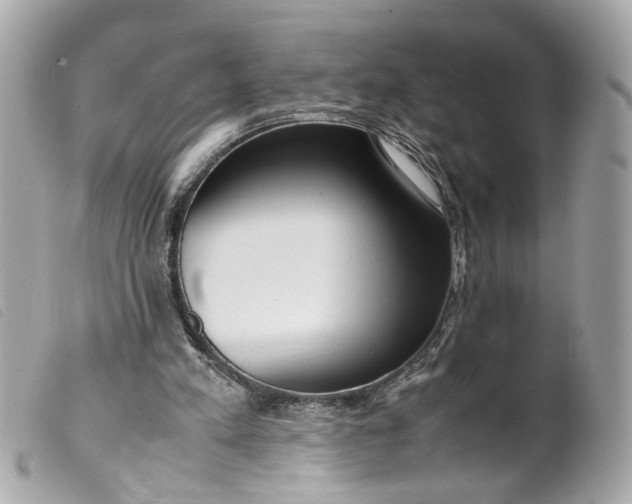 X0000099550197200805301527