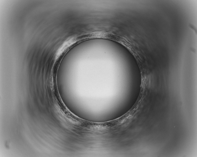 X0000099550198200805301527