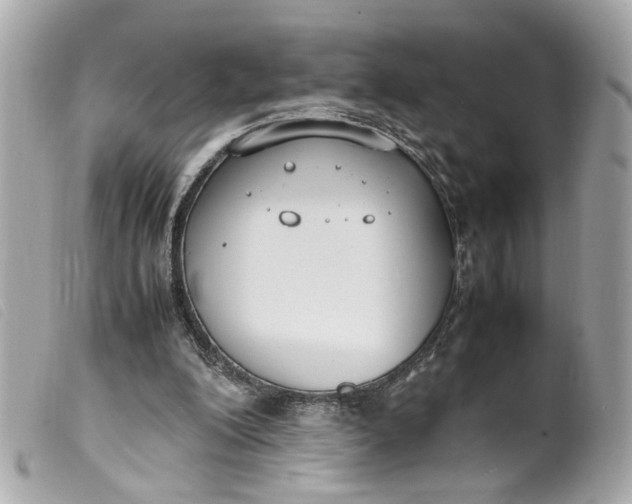 X0000099550200200805301527