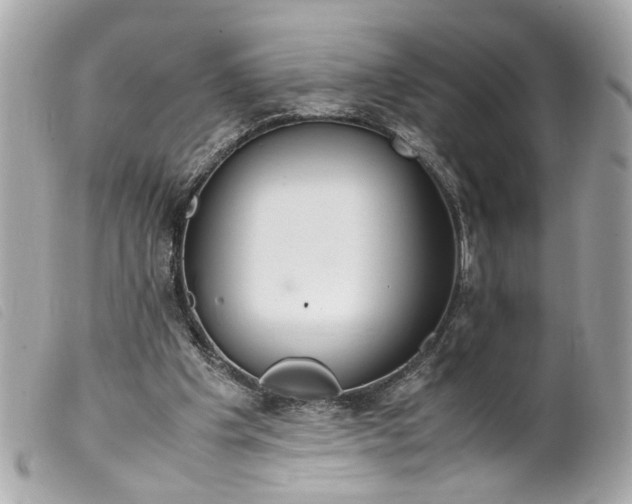 X0000099550201200805301527