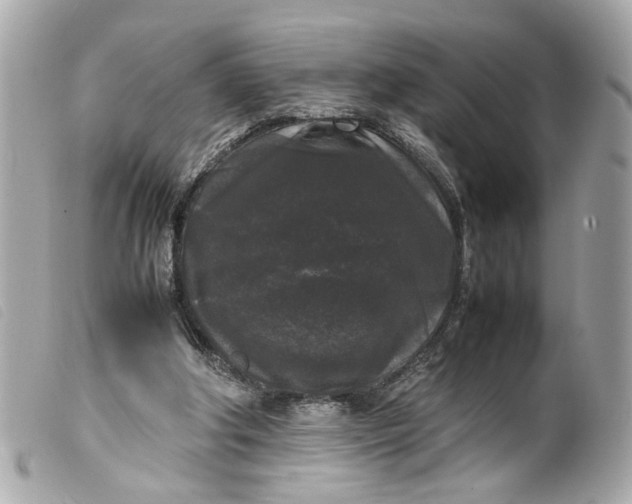 X0000099550202200805301527