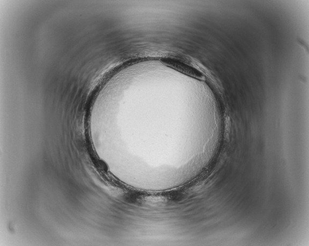 X0000099550203200805301527