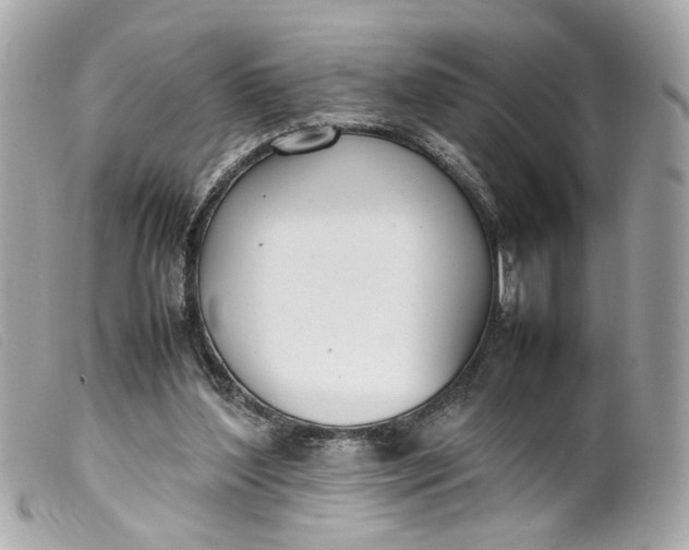 X0000099550204200805301527