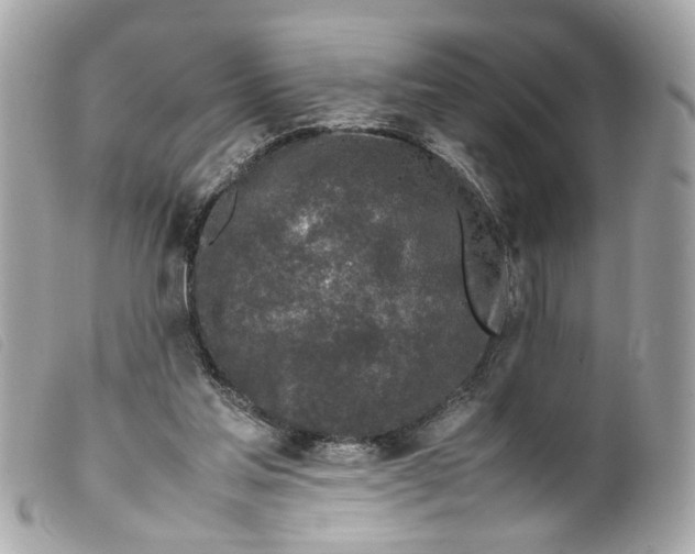 X0000099550205200805301527