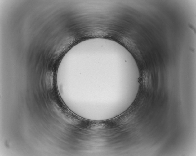 X0000099550206200805301527