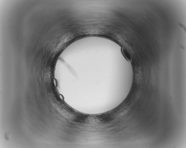 X0000099550207200805301527