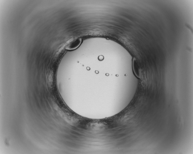 X0000099550208200805301527