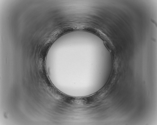 X0000099550209200805301527