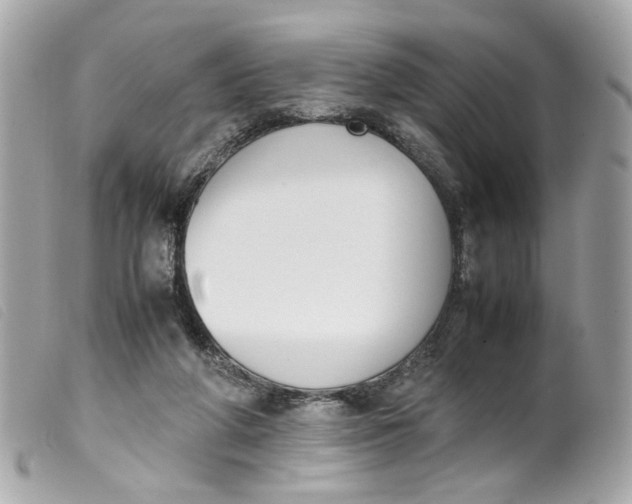 X0000099550210200805301527