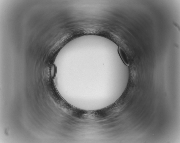 X0000099550211200805301527