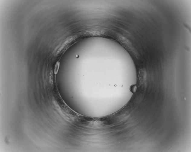 X0000099550212200805301527