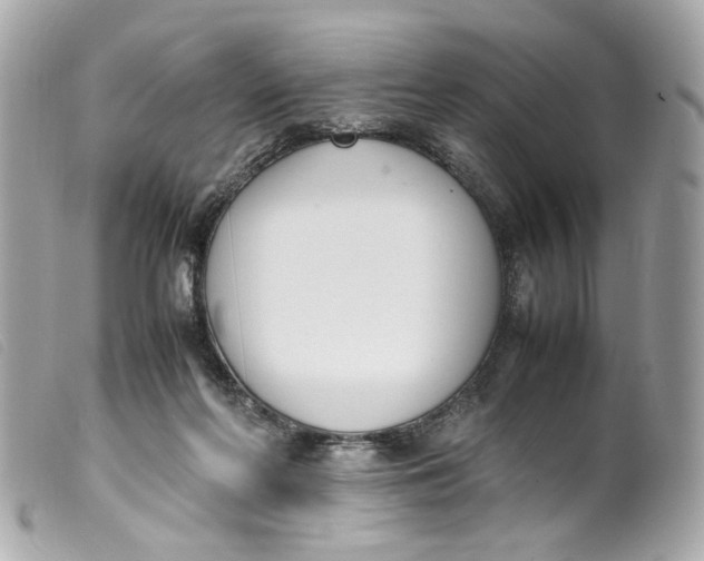 X0000099550214200805301527