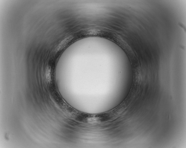 X0000099550216200805301527