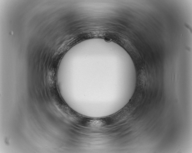 X0000099550218200805301527