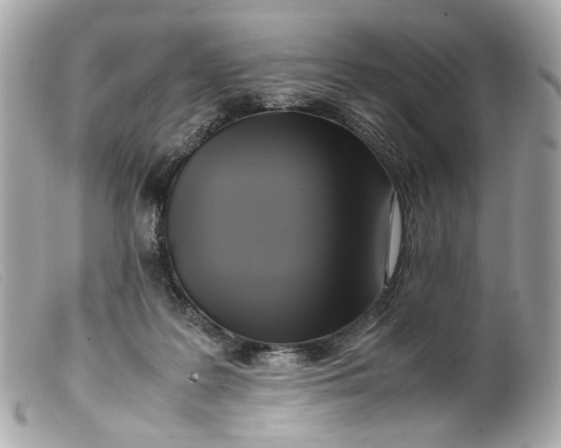 X0000099550219200805301527