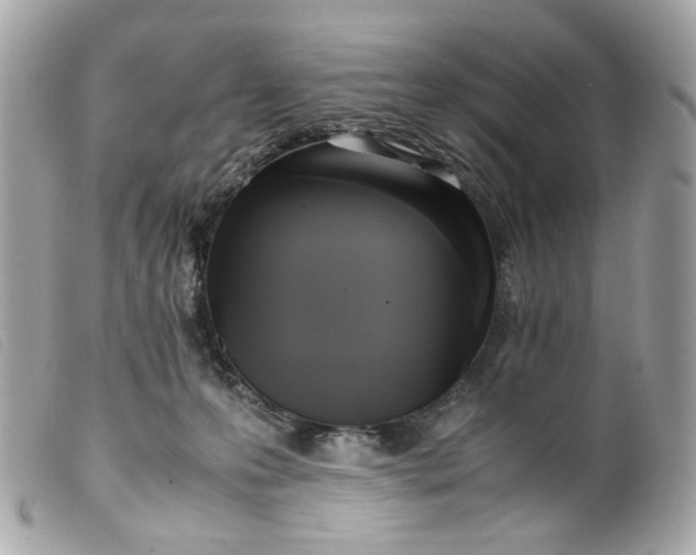 X0000099550223200805301527